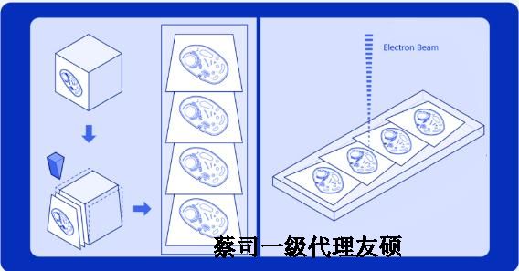 大庆蔡司大庆扫描电镜